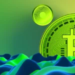 Gold Bug 评论比特币下跌：凯茜关上了门